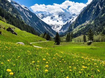 Our Top 5 Property Ski Regions in Austria