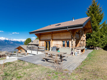 Ski In Ski Uit Chalet