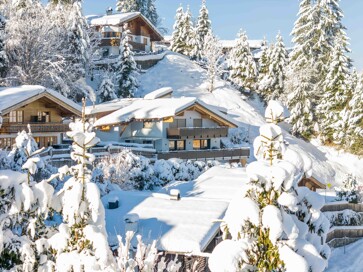 Maria Alm Zweitwohnsitz Chalet