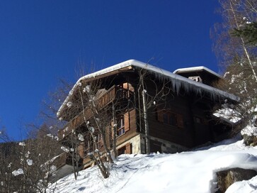 Chalet Vidoc