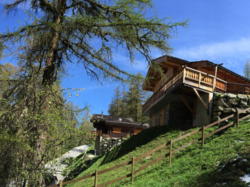 Chalet Wald