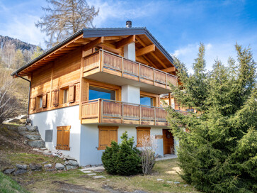 Ski-in Ski-Out Nendaz Chalet