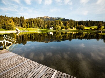 1035/Kirchberg-oostenrijk-chalets-te-koop-1.jpg