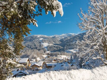 402/Wagrain-property-for-sale-austria-1.jpg